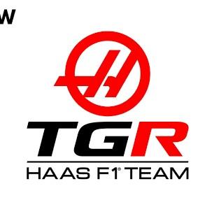 HAAS F1 TEAM