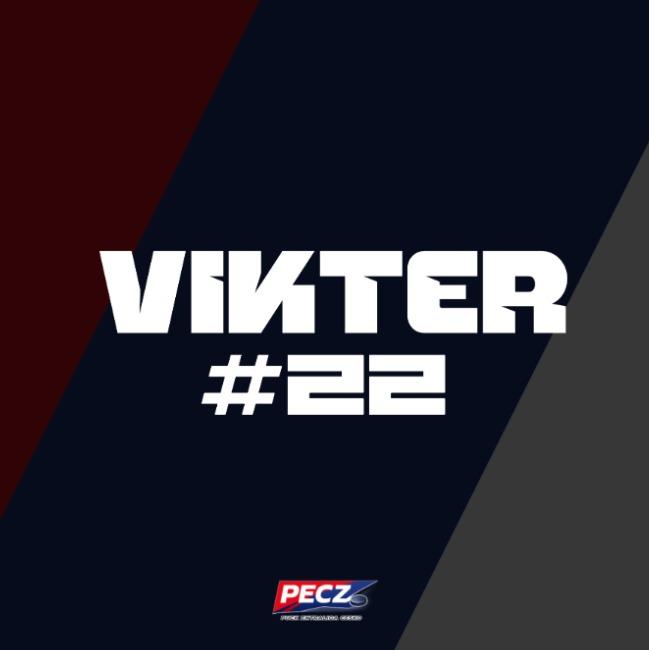 Vikter