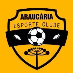 Toninho - ARAUCÁRIA