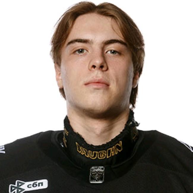 Шерстнев ВРТ