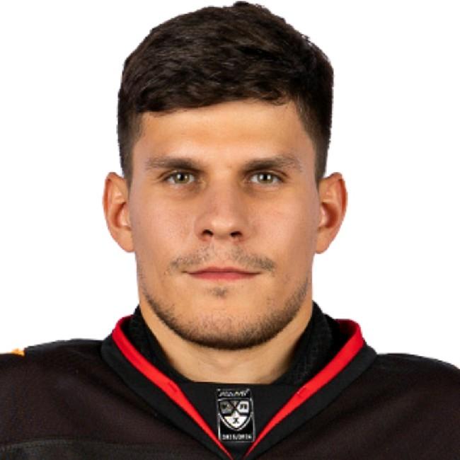 Серебряков ВРТ