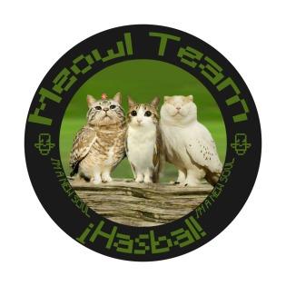 Meowl Team