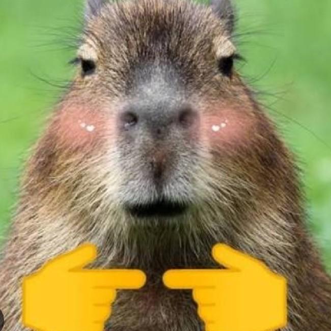 EL CIELO DE LOS CAPIBARAS 🇵🇪