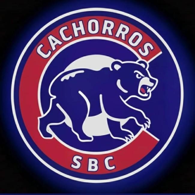 Cachorros