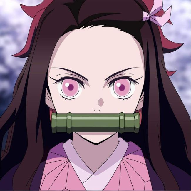 NEZUKO KAMADO