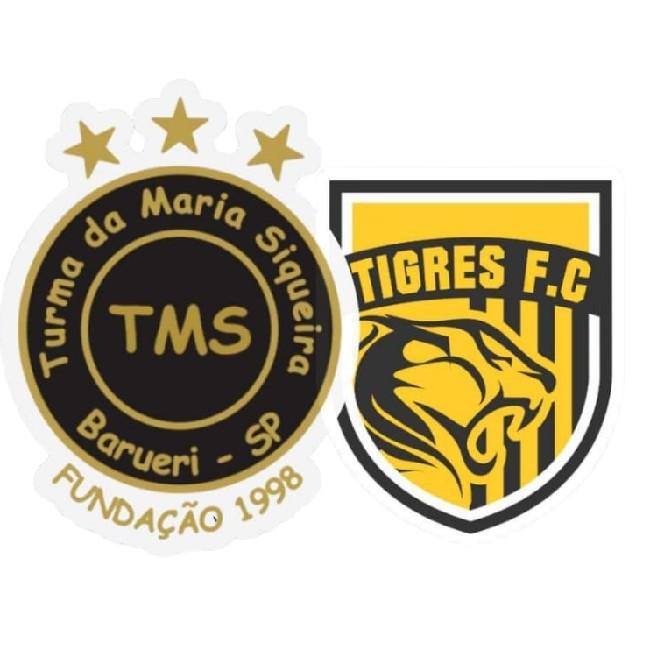 TMS/Tigres