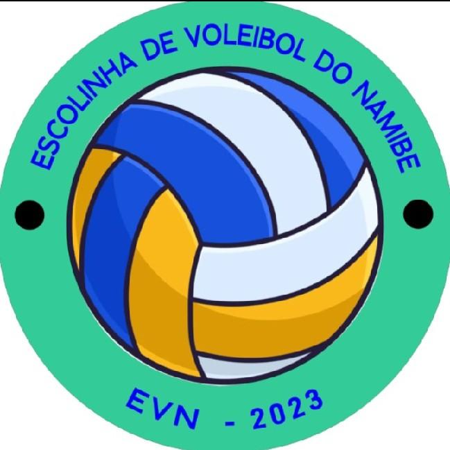 Internacional Voleibol - Feminino