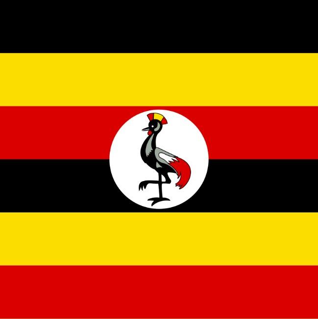 Uganda (Gufi)