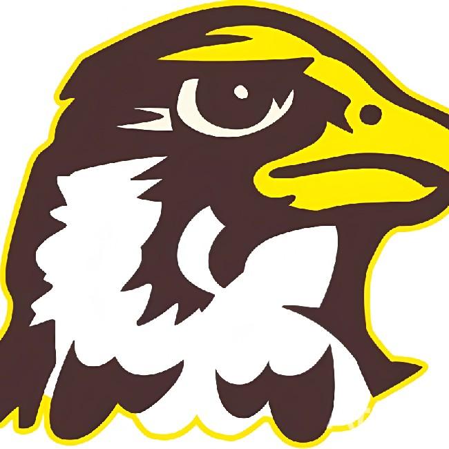 Quincy Hawks