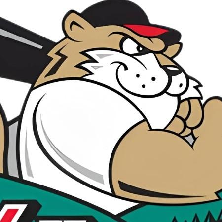 Tri-City ValleyCats