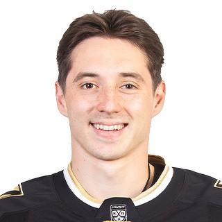 Завгородний