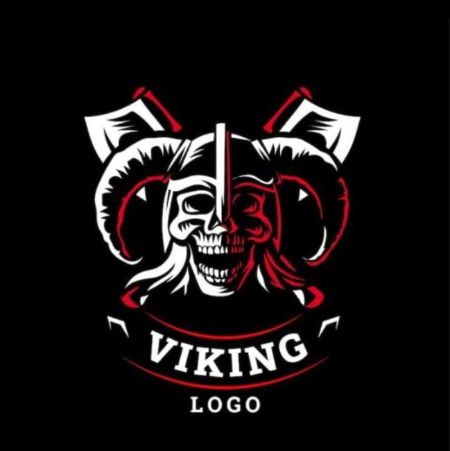 VIKINGO