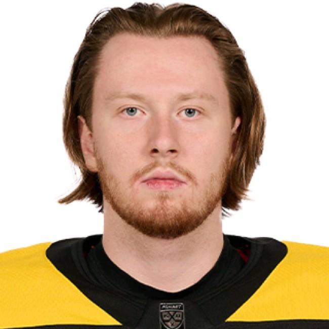 Скотников ВРТ