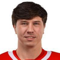 Дмитрий Вишневский