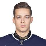 Игорь Нечаев