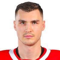 Адам Ружичка