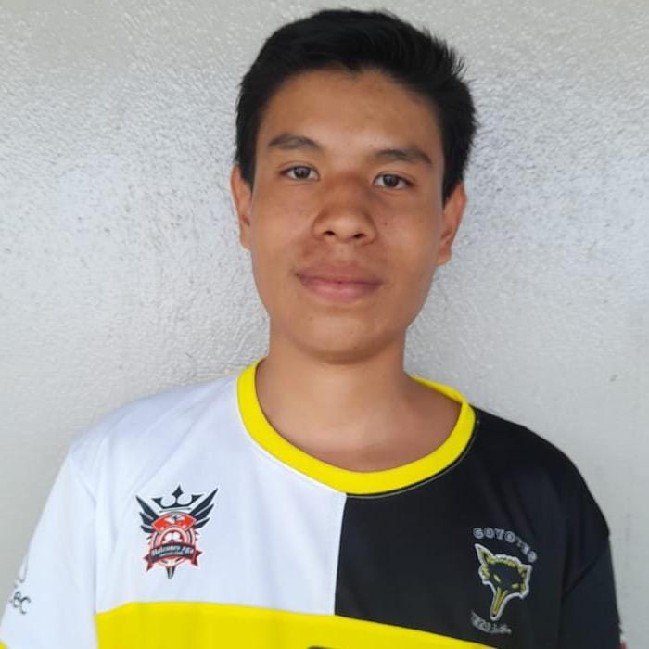 Emiliano peña vargas