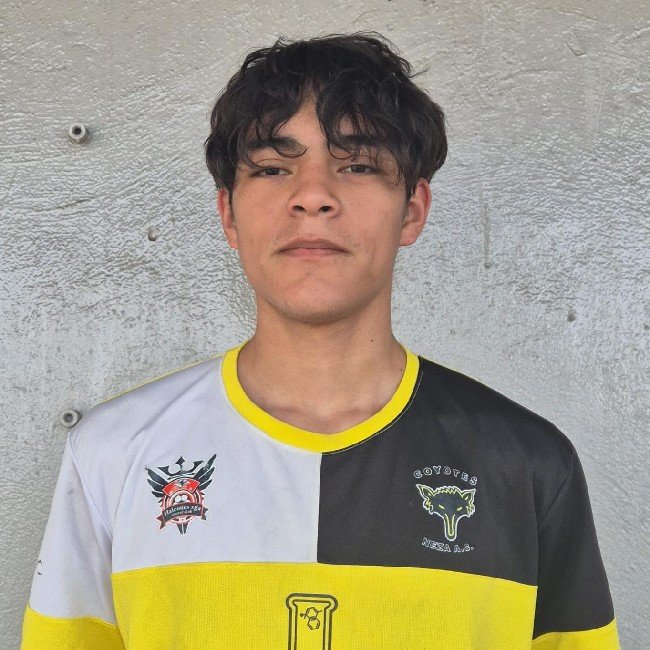 Luis Mario Martinez Negrete