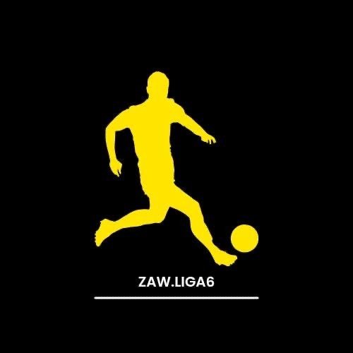ZAW LIGA 6