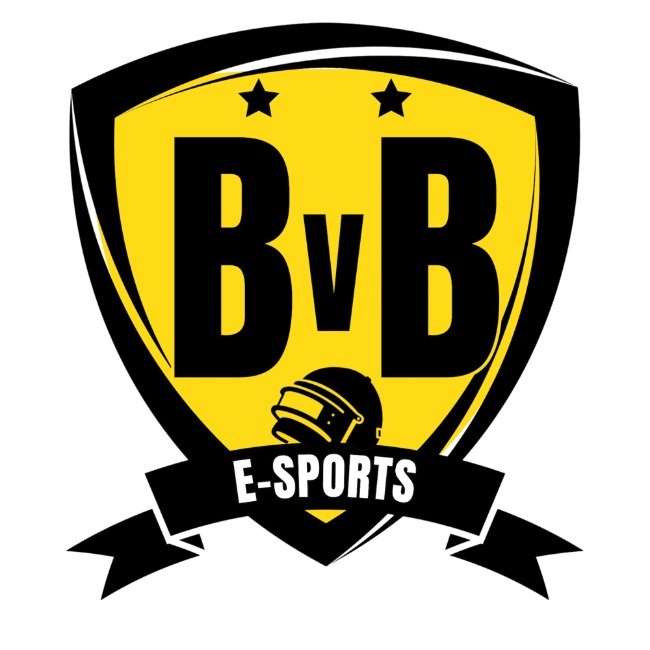 BVB ESPORTS