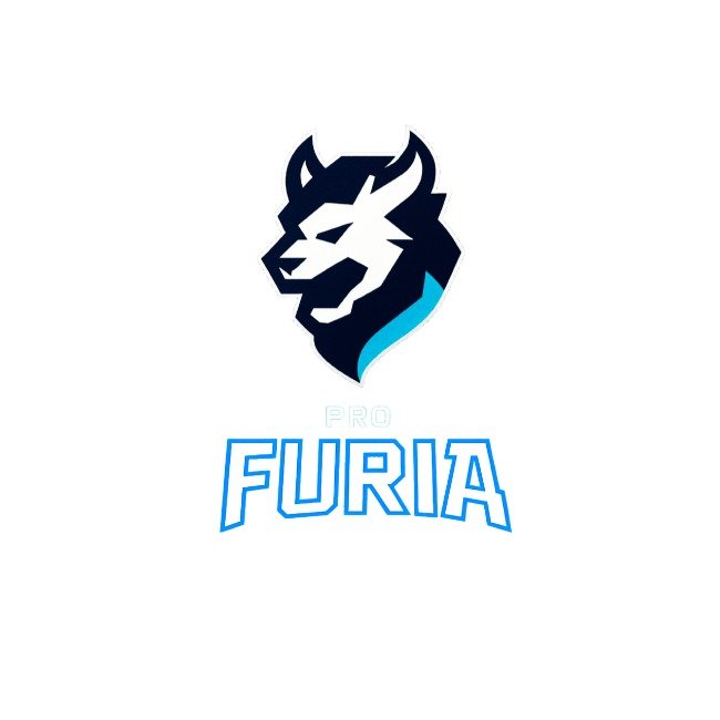 PRO FURIA GAMER