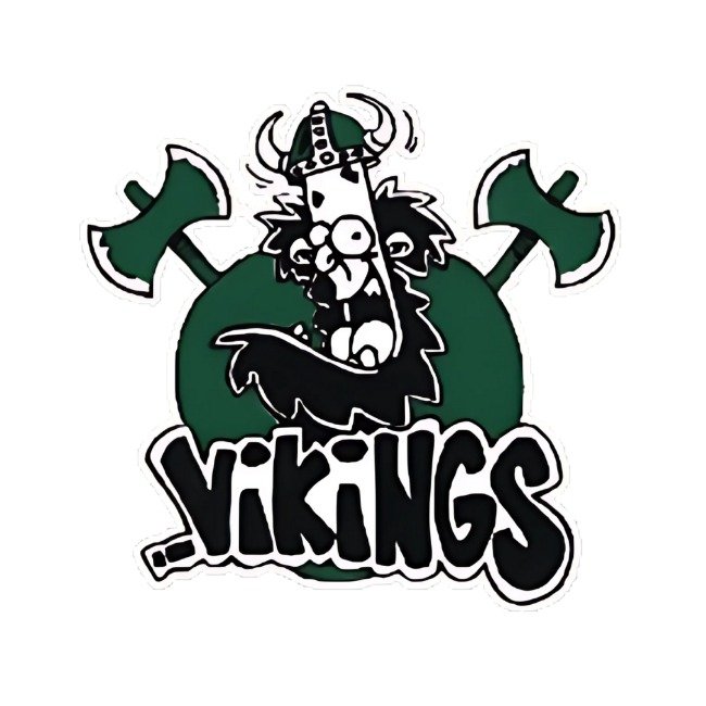 VIKINGS