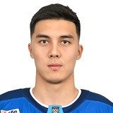 Шайхмедденов