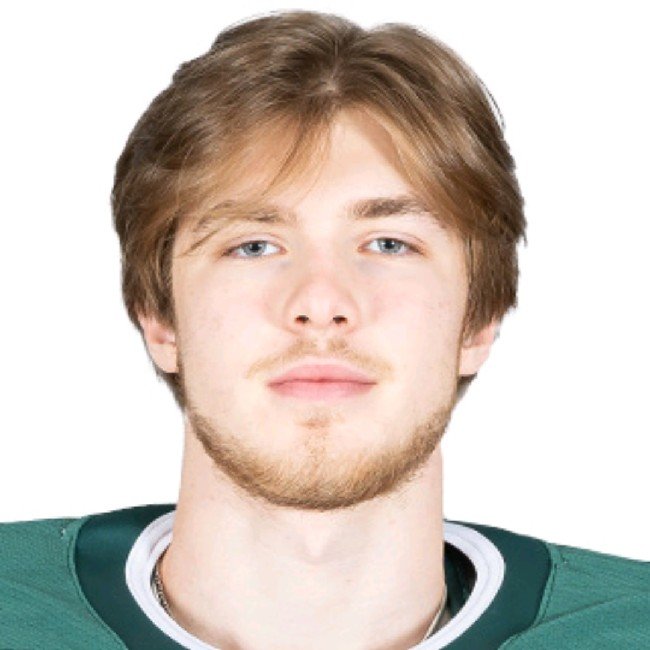 Арефьев ВРТ