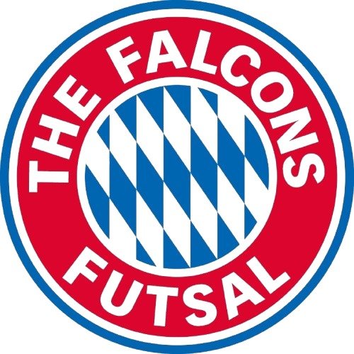 The Falcons Futsal
