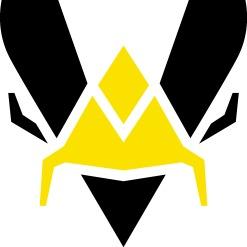 Team Vitality