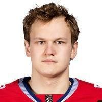 Никулин Степан