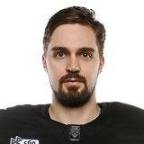 Николаев Дмитрий Н.