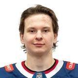 Криволапов Николай