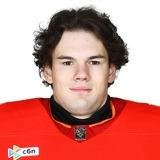 Новосёлов Никита Д.