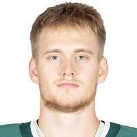 Сафонов Илья