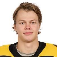 Грудинин Владимир