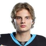 Прохоров Евгений Д.