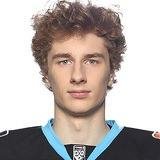 Салыго Николай