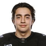 Юсупов Владислав Р.