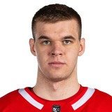 Пивчулин Данил