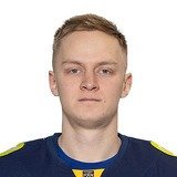 Антон Косолапов