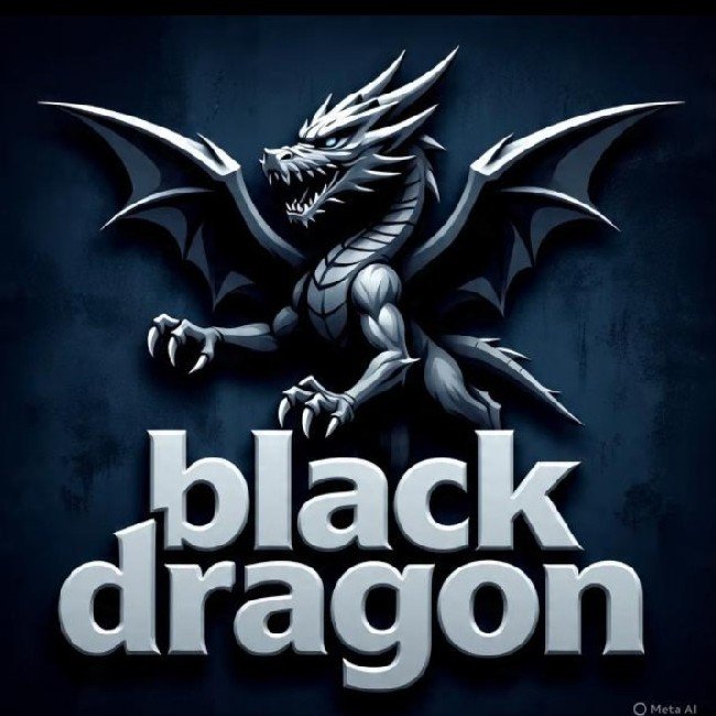 BLACK DRAGON 🇧🇴