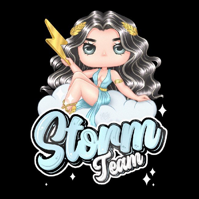 STORM TEAM