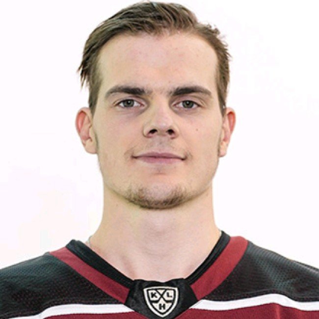 Шваненбергс