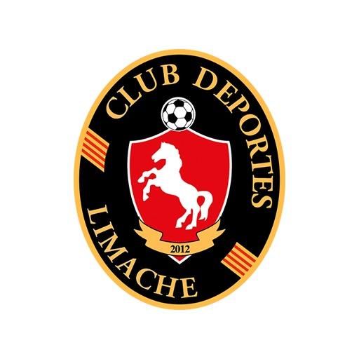 Deportes Limache