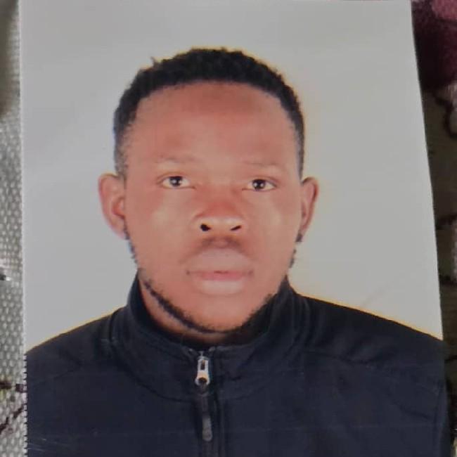 Munashe P Chikweturo