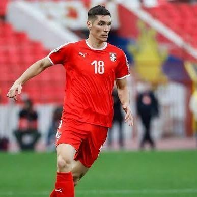 Nikola Milenković