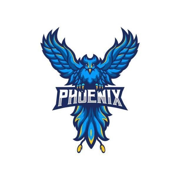 Fc phoenix