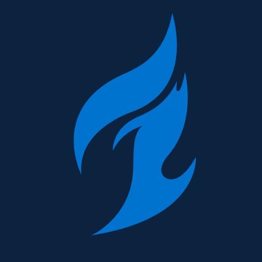 DALLAS FUEL