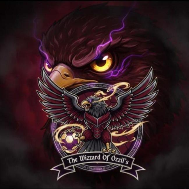 THE WIZZARD OF OZZILS